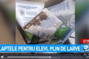 Caz revoltător intr-o şcoală! Profesorii au descoperit viermi in laptele pentru elevi