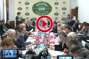 Consilierii judeţeni au votat, aproape fără să crâcnească, cedarea către DNA a unei ...