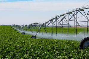 200 milioane de euro pentru investiţii în infrastructura secundară de irigaţii prin PNDR 2020