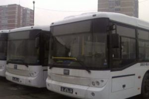 AUTOBUZELE LUI PENDIUC, SCOASE LA VÂNZARE!
