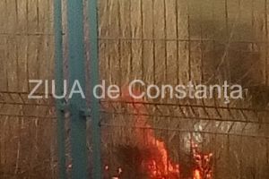 Incendiu in apropierea locurilor de joaca din Țara Piticilor din Parcul Tabacarie din Constanta (galerie foto) 