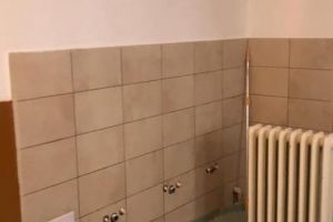 Grupuri sanitare şcolare în reparaţii