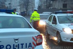 Razie în judeţ: Poliţişti, veterinari, jandarmi şi poliţişti de frontieră au controlat firme, transportatori şi trenuri de călători