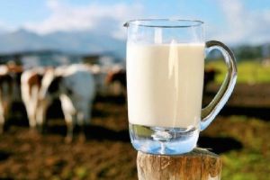Etichetă specială pentru produsele lactate. Clienţii vor fi atenţionaţi explicit cu privire la conţinut
