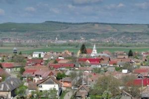 Primăria Sângeorgiu angajează educator puericultor