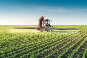 Agricultura pe înţelesul tuturor – Fertilizarea fazială a cerealelor păioase