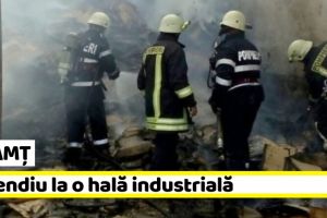 NEAMȚ: Incendiu la o hală industrială