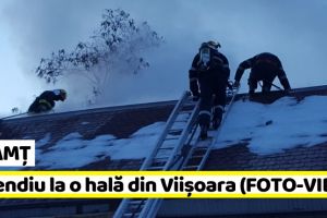 NEAMȚ: Incendiu la o hală din Viişoara (FOTO-VIDEO)