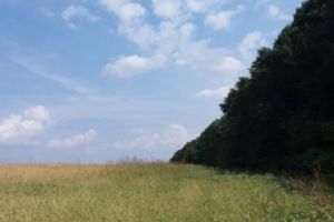 Aproape de Bucureşti îşi are sălaşul, de secole, Baba Groasa. Am vizitat-o, urmând vechiul drum al haiducilor din Pădurea Nebună, pe firul Neajlovului
