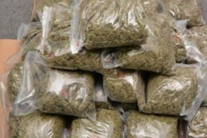 REȚEA INTERNAȚIONALĂ DE TRAFIC DE DROGURI, DESTRUCTURATĂ! Peste 800 KG de CANNABIS transportate DIN SPANIA în GERMANIA, cu implicarea unor ROMÂNI