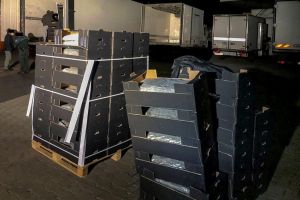 Retea internationala de trafic de droguri, destructurata. Printre membrii erau si cetateni romani. Cum transportau drogurile