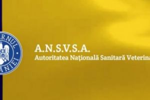 Anunt important de la ASVSA. Are legatura cu firma care distribuie carne si care este anchetata in Polonia