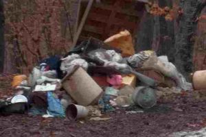 FOTO ȘTIREA TA: Drumul spre Râmeţ, sufocat de gunoaie. Deşeuri şi căţeluşi abandonaţi la ieşirea din pădure