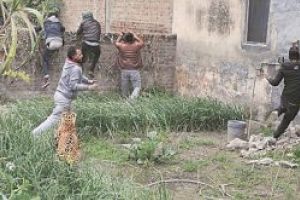 India – Un leopard ratacit a provocat panica in randul locuitorilor unui oras nordul tarii