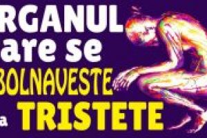 Acesta este Organul care se imbolnaveste cel mai tare de la tristete