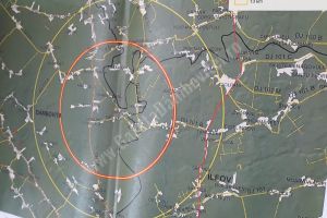 Autorităţile iau măsuri în trei judeţe, din cauza miştreţul mort de pestă în Dâmboviţa