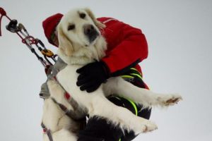 FOTO: Un albaiulian şi câinii săi dresaţi pentru salvare de oameni, în ”Portretul de salvator” al Departamentului pentru Situaţii de Urgenţă