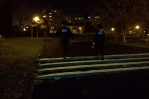 Politistii locali au monitorizat parcurile din Constanta. Ce nereguli au depistat agentii (galerie foto)