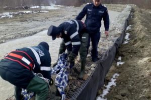 Descoperire macabra pe un rau. Cadavru, scos la mal de pompieri (galerie foto+video) 