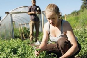 Stimularea angajării tinerilor în sectoarele agricultură, acvacultură şi industria alimentară. Care este modul şi durata de aplicare a Programului