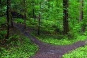 Fenomen PARANORMAL în Munţii Bucegi. Cărarea BLESTEMATĂ. Localnicii sunt ÎNGROZIŢI