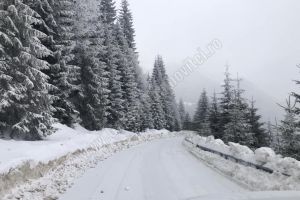 Turişti, care s-au aventurat pe DJ 713, au rămas blocaţi la Dichiu