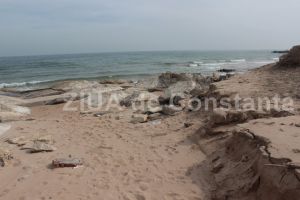 ABADL cheltuie peste 28 de milioane de lei pentru supervizarea lucrarilor din proiectul Reducerea eroziunii costiere“ (document)