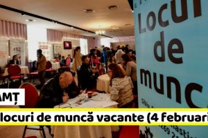 NEAMȚ: AJOFM: 791 locuri de muncă vacante la data de 4 februarie