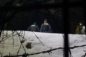 Familia şefului CJ Harghita, panicată de prezenţa unui urs lângă casă