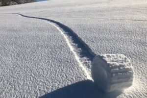 CIUDĂŢENII ale naturii. Fenomen EXTREM DE RAR. Baloturi de zăpadă