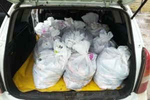 Constanta. Sute de kilograme de peste, descoperite intr-o masina de catre poitistii de frontiera