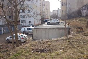 Incredibil unde a putut un sofer sa-si parcheze masina   