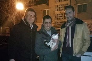 O familie a salvat o pisică dintr-un copac, în miezul nopţii. Apoi a adoptat-o
