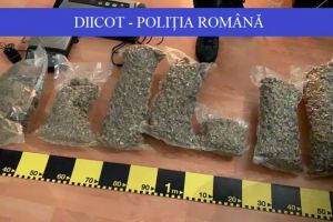 DIICOT. Barbati, retinuti pentru introducerea in tara de droguri de risc si trafic de droguri