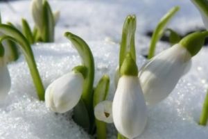 PROGNOZA METEO LUNARĂ: Cum va fi vremea de Ziua Îndrăgostiţilor 2019