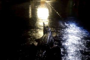 Din cauza inundaţiilor, locuitorii unui oraş s-au trezit cu crocodili şi şerpi pe străzi