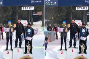 FOTO/ VIDEO: ”Snow Wolves Trascău Zlatna” din nou pe podium. Premii la toate cele trei concursuri de atelaje canine din acest an