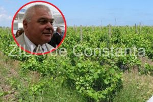Noi licitatii pentru valorificarea terenurilor detinute de firma oenologului Ion Pusca, parintele sampaniei de Panciu
