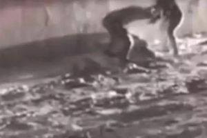 DEZVĂLUIRILE unei CRIME ORIBILE! Înregistrarea audio care ȘOCHEAZĂ anchetatorii: „O murit fraierul”