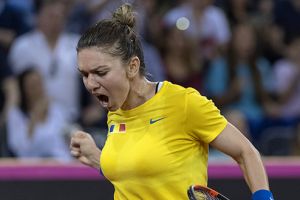 Cehia – România, „întâlnire de gradul trei” în Fed Cup