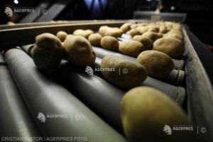 AFIR a autorizat plăţi către beneficiari în valoare de peste 4 miliarde de euro prin actualul PNDR