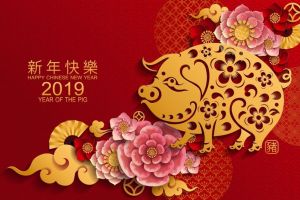 A început Anul Mistreţului de pământ în zodiacul chinezesc