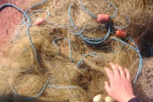 RAZIE în Delta Dunării. BRACONIERI prinşi în FLAGRANT