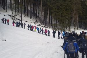 Jandarmii argeşeni, alături de cercetaşi