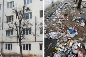 TÂRGOVIȘTE: Prea săraci pentru a nu prefera să stea printre şobolani?