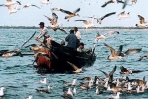 ORDIN de PROHIBIȚIE LA PESCUIT, pe anul 2019, EMIS de guvernanţi  


