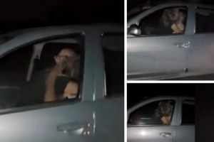 IMAGINI INTERZISE! Doi tineri au fost surprinşi făcând SEX în TRAFIC