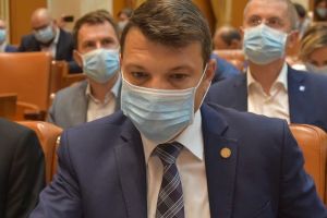La Galaţi, primăvara se întorc papagalii