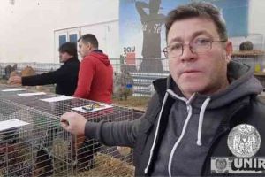 FOTO, VIDEO: Pasiune inedită a unui profesor din Alba. Cum arată găinile de expoziţie din rasa pitică încălţată mii de flori pe care le creşte