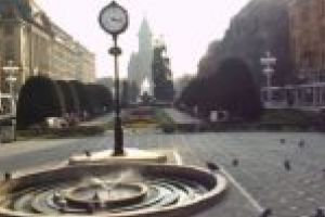 Trei firme din centrul Timişoarei, amendate de Poliţia Locală! Aruncau gunoiul după bunul plac!